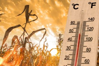 2024 a fost cel mai cald an din istorie nasa recordul de temperatura a fost spulberat 67876f4a738bb