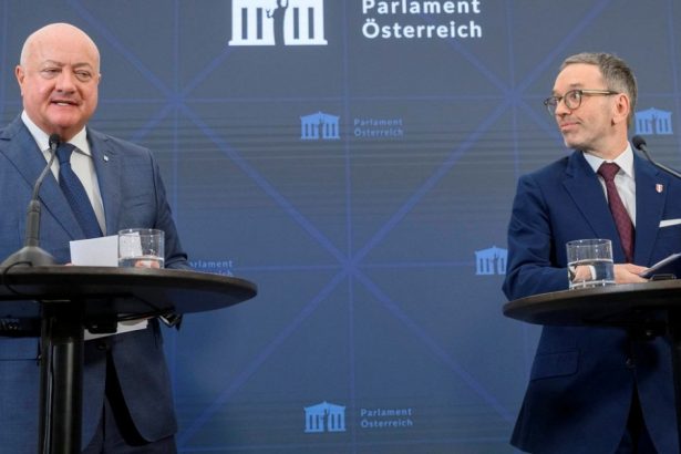 acord pe buget intre conservatori si extrema dreapta din austria herbert kickl am luat o decizie cruciala 6785126a8b3f8