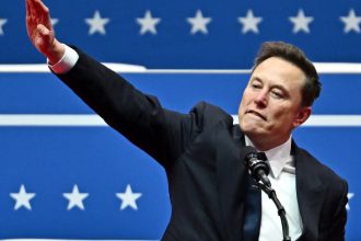 analiza de ce sustine elon musk extrema dreapta germana si care ar putea sa fie consecintele retoricii sale 679c651a30a6e
