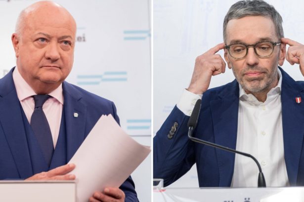 austria ce conditii pun conservatorii inainte de discutiile privind coalitia cu extrema dreapta 677eafaab6286