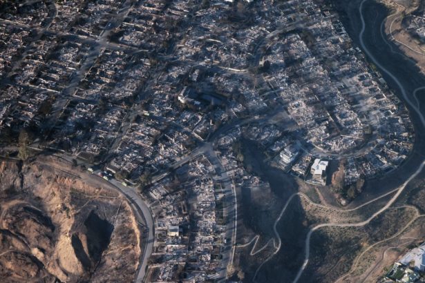 avertismentul unui arhitect dupa distrugerile provocate de incendiile din los angeles am construit orase fara legatura cu mediul 678cdbc1c514e