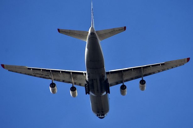 cati romani risca sa fie expulzati din sua 1300 dintre ei au ordinele de deportare deja semnate 679b52d810c67