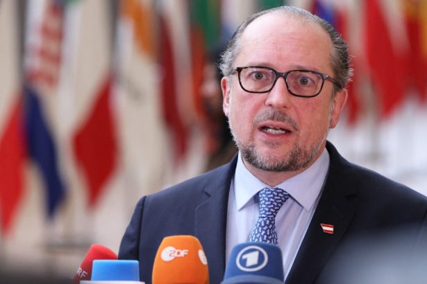 cine va conduce interimar austria ceremonia de preluare a functiei va avea loc vineri 677e902cb035b