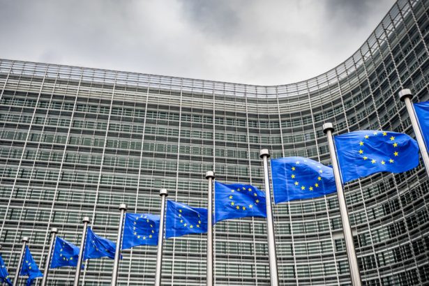 comisia europeana si a incalcat propriile legi privind confidentialitatea datelor in premiera a fost amendata 677f59d76c795
