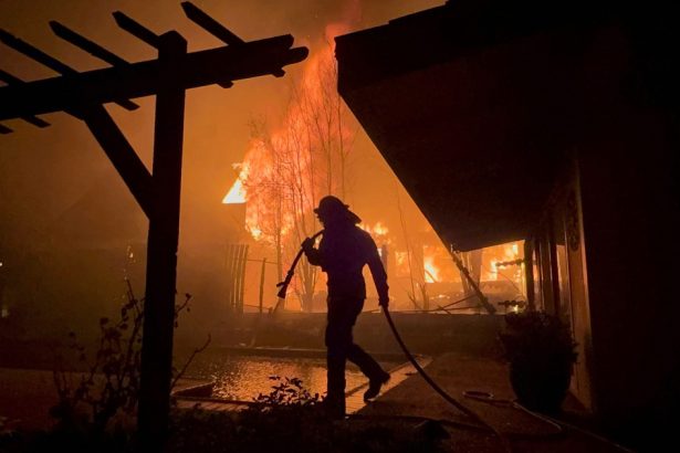 dilema morala in sua americanii trimit detinuti pentru a stinge incendiile din california esti doar o mana de lucru ieftina 6782443a149ef