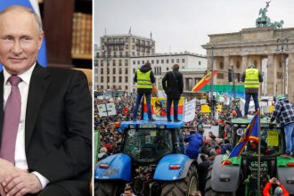 dilema ue privind ingrasamintele cum sa distrugi profiturile lui putin fara a lovi fermierii aflati deja in pragul revoltei 679c7ed901a88