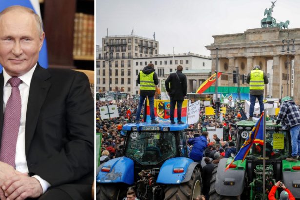 dilema ue privind ingrasamintele cum sa distrugi profiturile lui putin fara a lovi fermierii aflati deja in pragul revoltei 679c7ed901a88