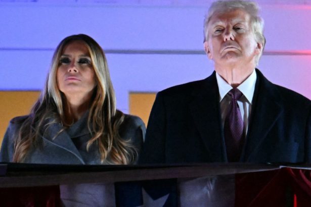 donald trump si sotia sa melania au intrat pe piata criptomonedelor ce niveluri ating monedele lor la o zi dupa lansare 678df88b38244