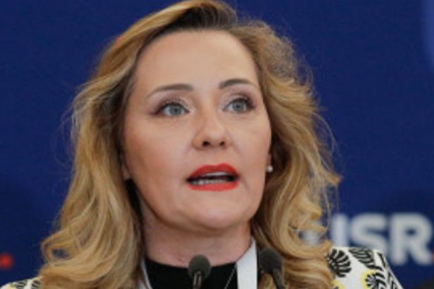 elena lasconi critica modificarile programului de vot in diaspora asistam la o discriminare cere avocatului poporului sa intervina 678958d9d9eb4