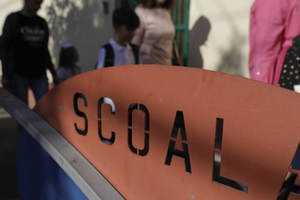 elevii buni la invatatura pot promova doi ani de studii intr un singur an scolar ordinul publicat in monitorul oficial 677e86a2ed4a5