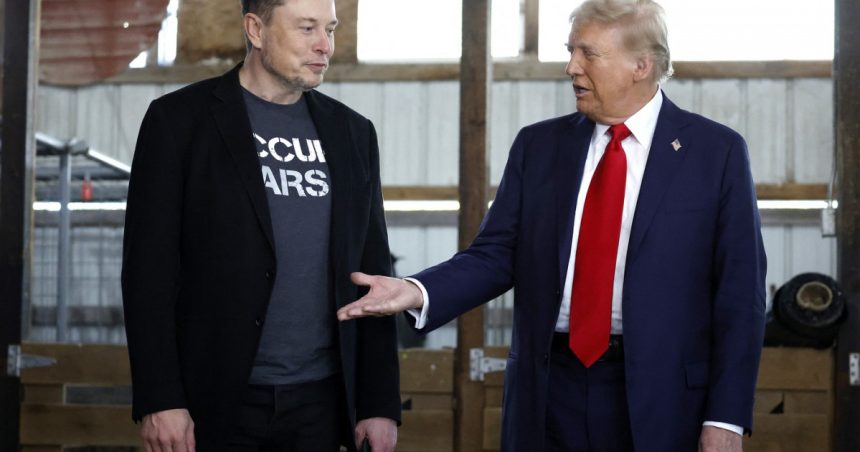 elon musk critica proiectul stargate de 500 de miliarde de dolari anuntat de donald trump de fapt nu au banii necesari 67911d97e8b52
