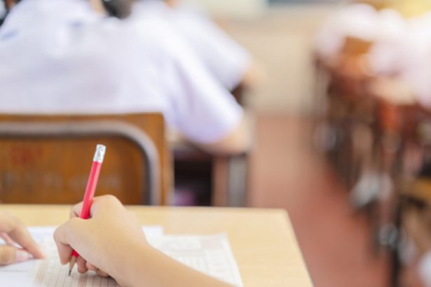 exclusiv ministrul educatiei vrea interzicerea predarii prin dictare sau copiere din manual masura trebuie sa fie drastica 678788d38d476