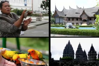 filosofia unei strategii de tara indonezia 67936c318a66e