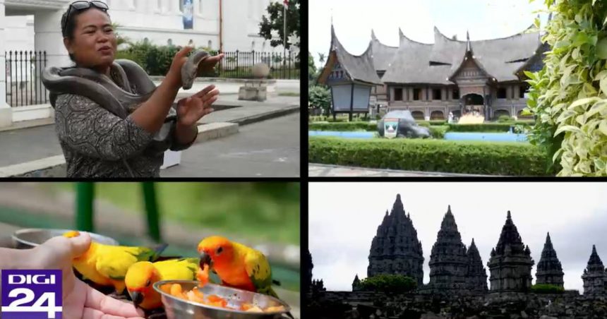 filosofia unei strategii de tara indonezia 67936c318a66e