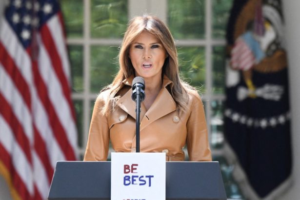 foto portretul oficial al melaniei trump a fost publicat indiciile ascunse despre al doilea mandat ca prima doamna surpinse in fotografie 67989c21d57de
