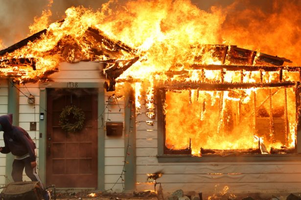 haos pe strazile din hollywood din cauza incendiilor devastatoare oamenii cauta panicati un adapost unde sa ma duc 677fb78984ab2