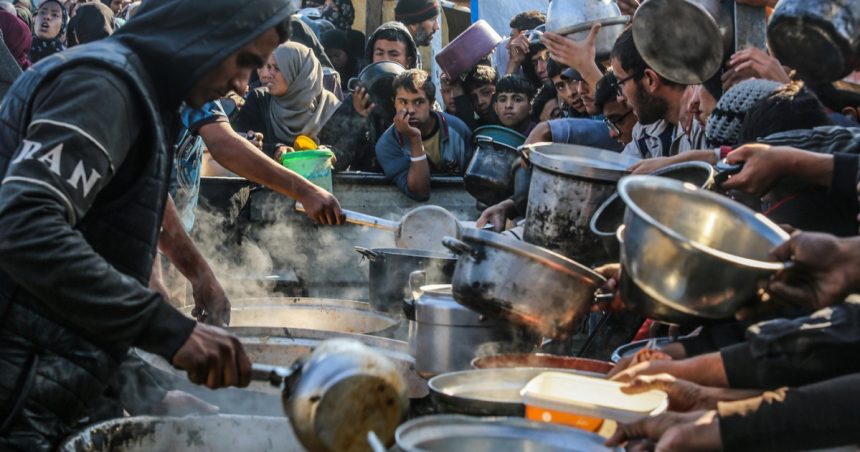 laureati ai premiului nobel si world food programme cer protectie alimentara pentru a evita o criza mondiala a foametei 67862cca58b18