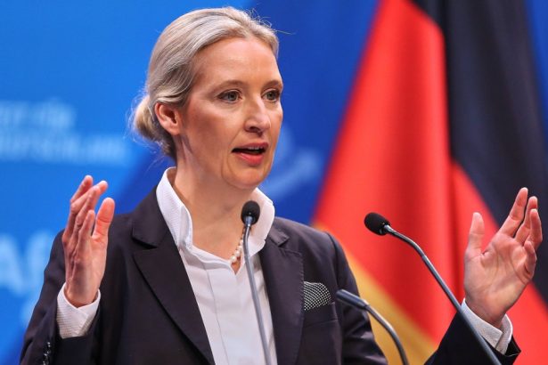 lidera afd promoveaza conceptul de remigratie pentru deportarea migrantilor inainte de alegerile anticipate din germania 678545f77b272