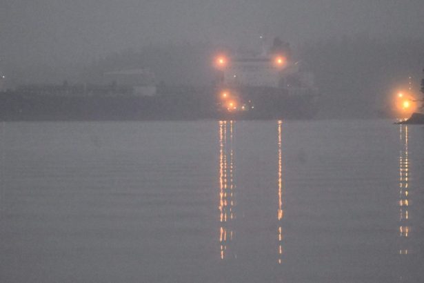 nato trimite doua nave in marea baltica dupa distrugerea unor cabluri submarine 67812996cd264