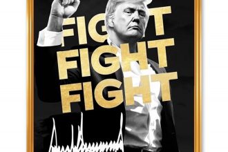 noul meu meme oficial trump este aici ce valoare a atins criptomoneda lansata de donald trump inainte de investire 678c1ba1135df