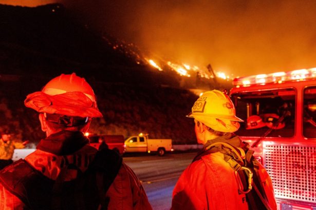 nu mai puteam scoate niciun strop pompierii din los angeles descriu lupta cu incendiile devastatoare in plina criza de apa 6780eb83bfd2e