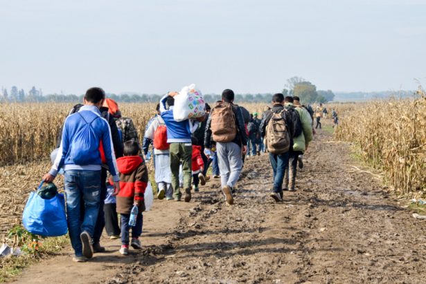 olanda ofera 900 de euro fiecarui refugiat sirian dispus sa revina in tara lui ce mai trebuie sa faca in schimbul acestei sume 67910d284cf81
