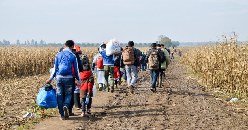 olanda ofera 900 de euro fiecarui refugiat sirian dispus sa revina in tara lui ce mai trebuie sa faca in schimbul acestei sume 67910d284cf81
