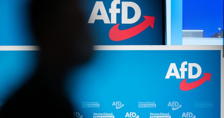 partidul de extrema dreapta din germania isi inlocuieste organizatia de tineret inainte de alegeri care este motivul 6784ce643e82b