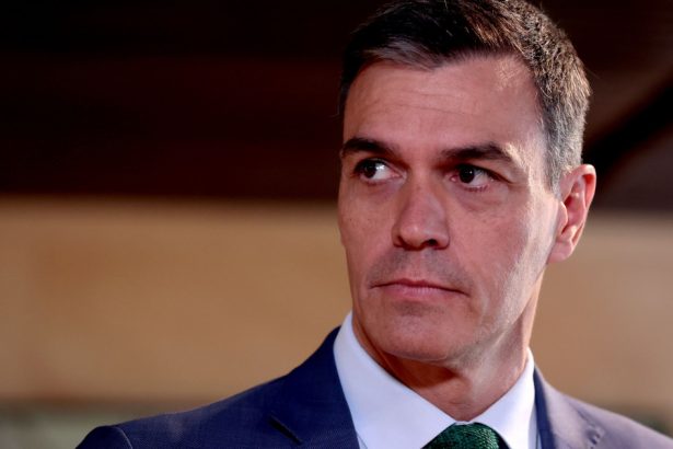 premierul spaniol pedro sanchez se alatura liderilor europeni care il acuza pe musk de incitare la ura si amestec in politica ue 677e7e603c9b8