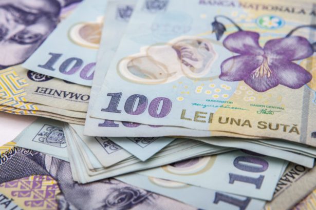 proiectul de buget 2025 ministerul care primeste in plus 153 mai putini bani la presedintie si parlament mai multi la servicii 679b808263b28