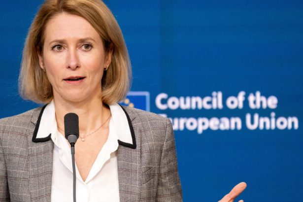 sefa diplomatiei europene ii da dreptate lui trump statele ue nu cheltuiesc suficient pentru aparare 6790cf165add3