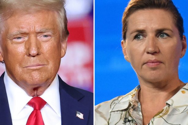 sefa guvernului danez si trump au vorbit la telefon despre groenlanda ce mesaj i a transmis presedintelui ales al sua 67882258071fd