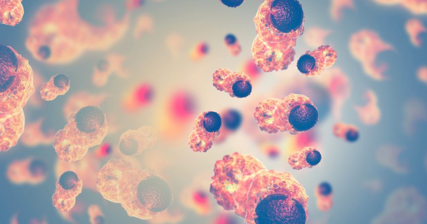 studiu ingrijorator oamenii de stiinta spun ca au descoperit cauza inmultirii inexplicabile a cazurilor de cancer 678389c930edf