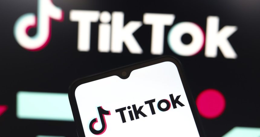 tiktok avertizeaza asupra consecintelor ample daca curtea suprema a sua permite interzicerea aplicatiei in sua 6783713649497