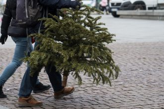 unde se arunca brazii de craciun dupa sarbatori primariile din bucuresti si din tara au anuntat amenzi pentru nerespectarea regulilor 677e40842e926