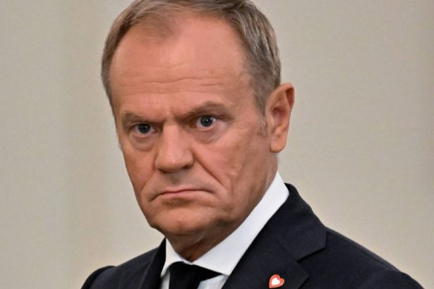 varsovia ii incurajeaza pe polonezii fara statut legal in sua sa revina in tara dupa anunturile lui trump 678fc2e5df025