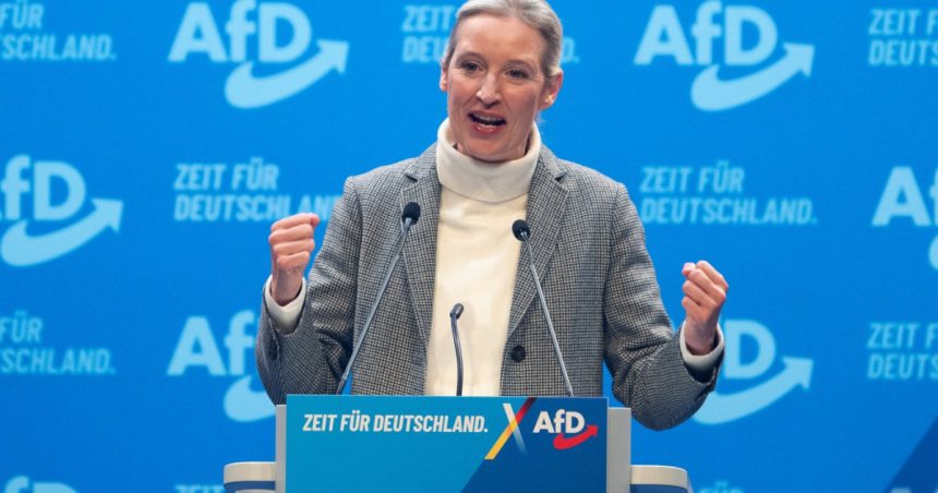 video extrema dreapta germana anunta planuri radicale sefa afd vom redeschide nord stream si vom darama turbinele eoliene 67850ed959639