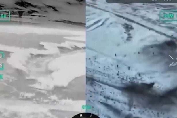 video mai aveau doar o treime din munitie ucrainenii sustin ca au ucis 21 de militari nord coreeni in kursk si arata imagini cu luptele 6790f23534196