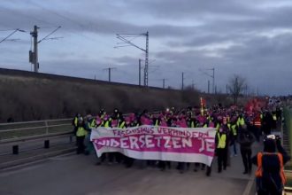 video manifestantii adunati in estul germaniei perturba congresul partidului de extrema dreapta afd nu nazistilor 67828f02283b8