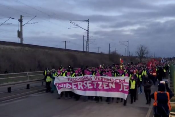 video manifestantii adunati in estul germaniei perturba congresul partidului de extrema dreapta afd nu nazistilor 67828f02283b8