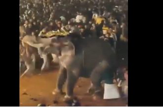 video peste 20 de persoane au fost ranite in india dupa ce un elefant a devenit violent in timpul unui festival religios 677e924cac422