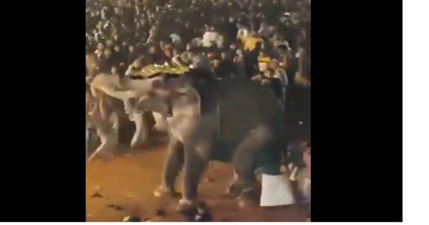video peste 20 de persoane au fost ranite in india dupa ce un elefant a devenit violent in timpul unui festival religios 677e924cac422
