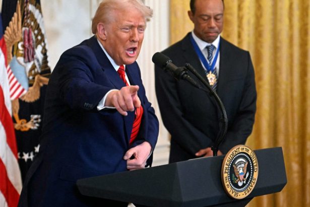 analiza cnn cele mai mari 13 minciuni spuse de donald trump in prima sa luna de mandat 67b808da027e6