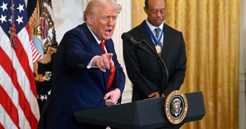 analiza cnn cele mai mari 13 minciuni spuse de donald trump in prima sa luna de mandat 67b808da027e6