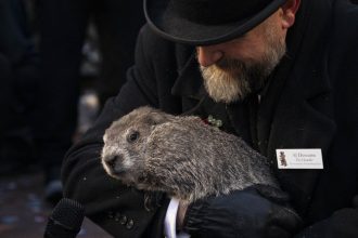 cat mai tine vremea de iarna ce a prezis marmota phil cel mai cunoscut meteorolog din sua 679f9e10d3964