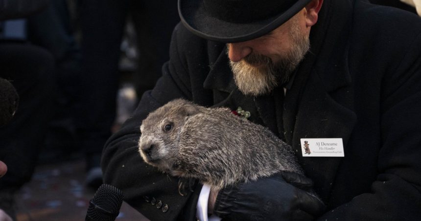 cat mai tine vremea de iarna ce a prezis marmota phil cel mai cunoscut meteorolog din sua 679f9e10d3964