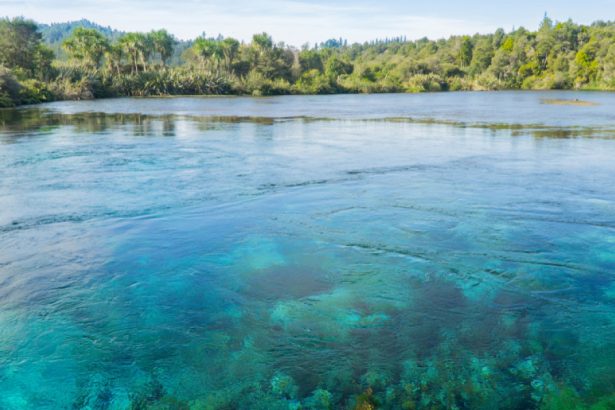 cel mai limpede lac din lume este amenintat de o alga adusa de turisti pe incaltaminte 67b093dd5ecaf