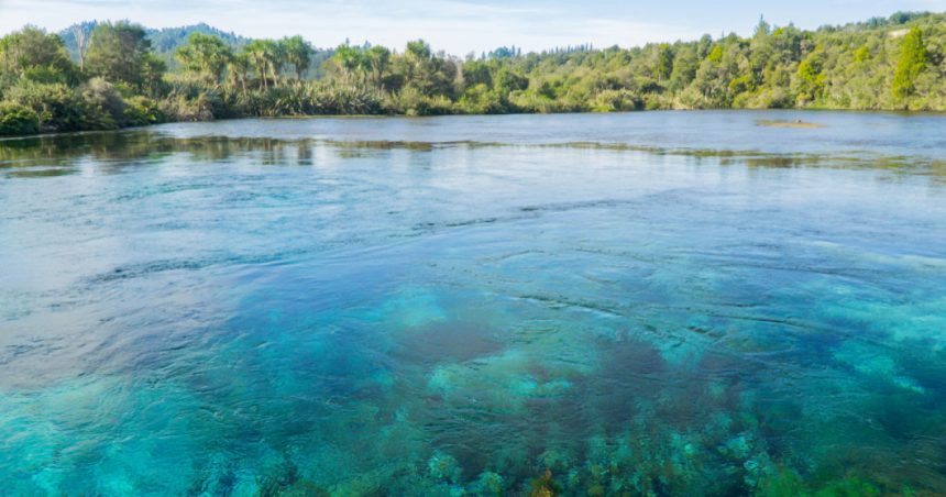 cel mai limpede lac din lume este amenintat de o alga adusa de turisti pe incaltaminte 67b093dd5ecaf