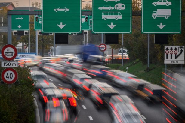 descoperire surprinzatoare facuta de vamesii francezi ce au gasit intr un camion la un control de rutina 67b105884f50e