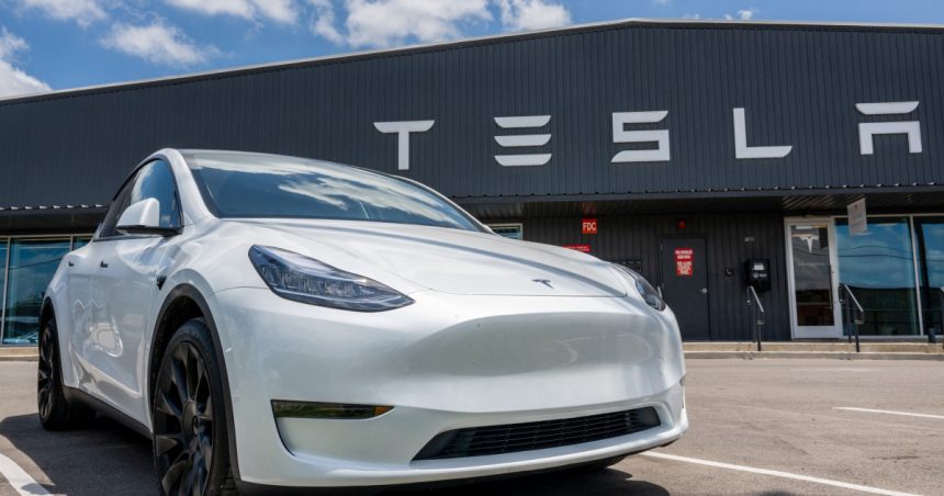 efectul ingerintelor lui elon musk vanzarile tesla s au prabusit in toata europa 67a4b9e362485